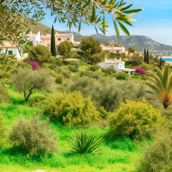 Een groen landschap van de Costa Blanca met olijfbomen, palmbomen, mediterrane vegetatie, en traditionele Spaanse huizen met terracotta daken. Waarom is de costa blanca zo groen?